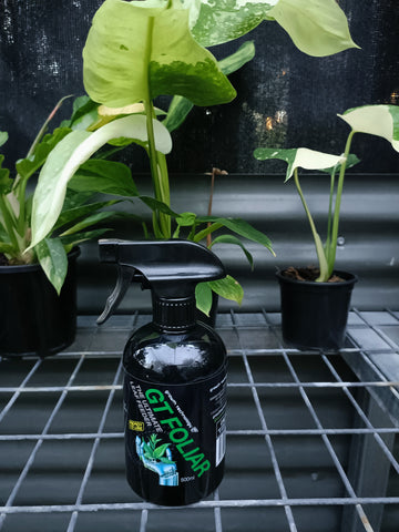 GT Foliar