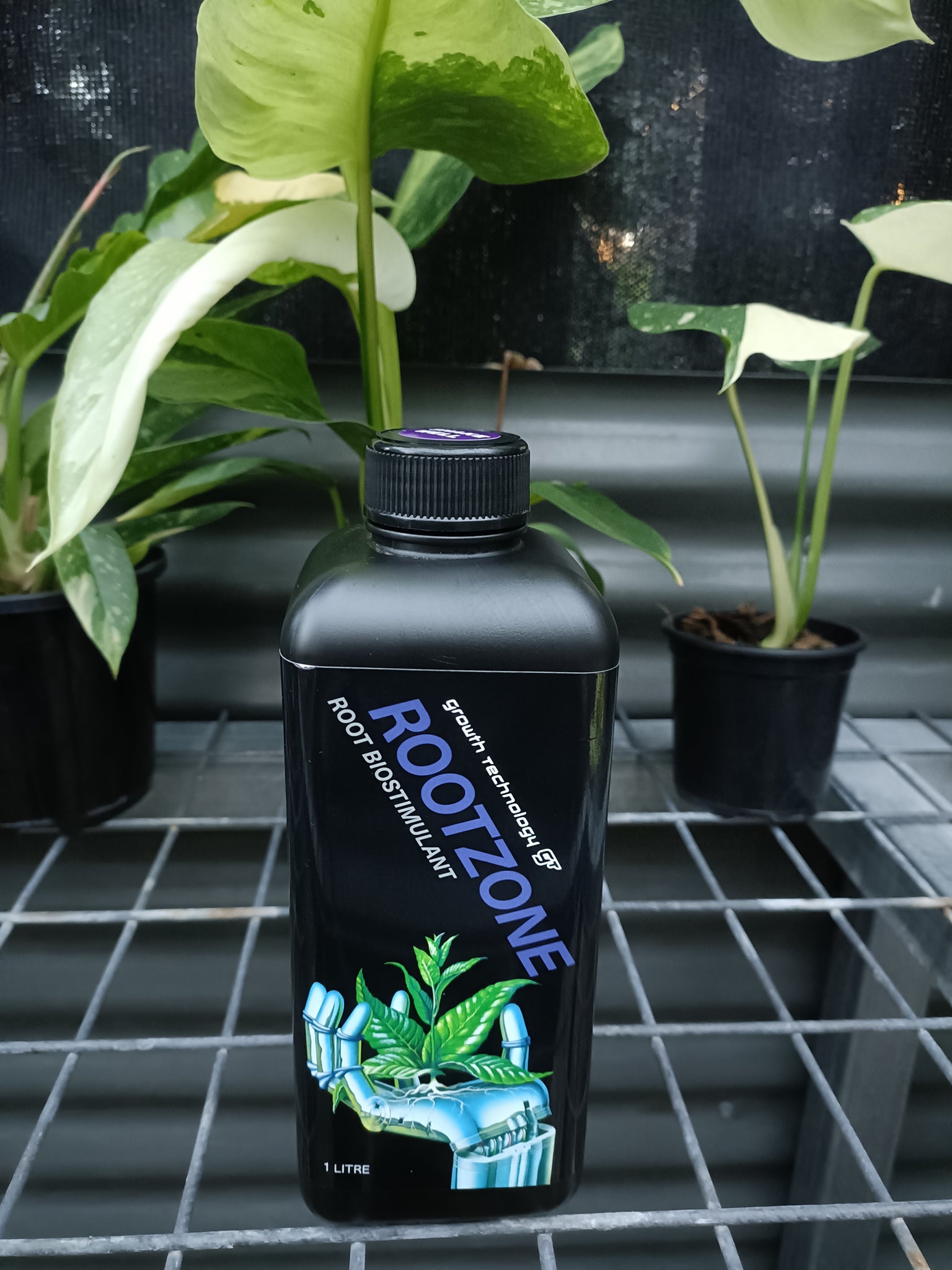 GT Rootzone