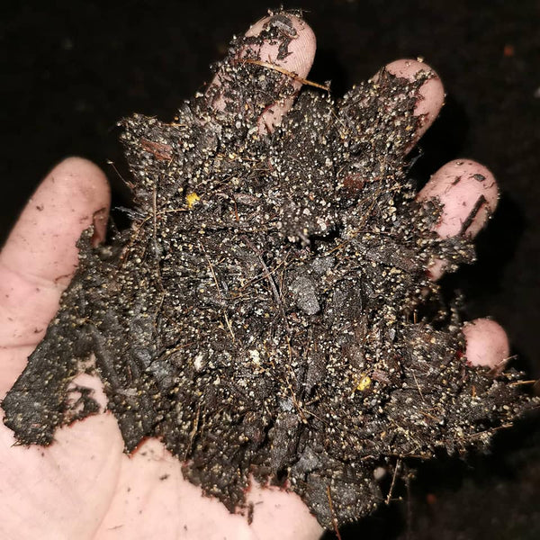 Potting Mix