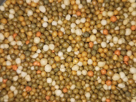 Osmocote Pro Controlled Release Fertiliser 12-14 months